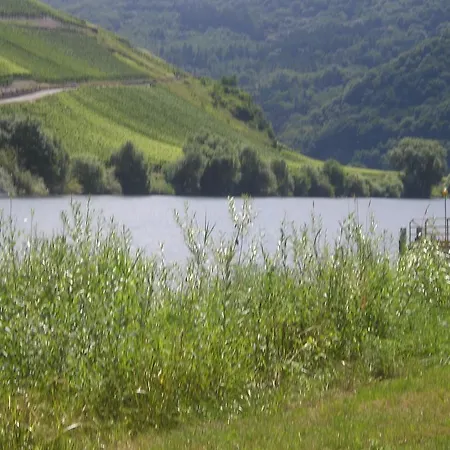 The At The Old Winery